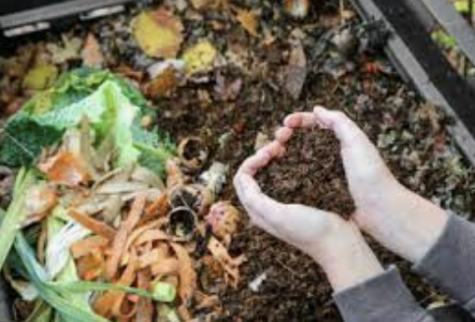 Composting in Harrison NY