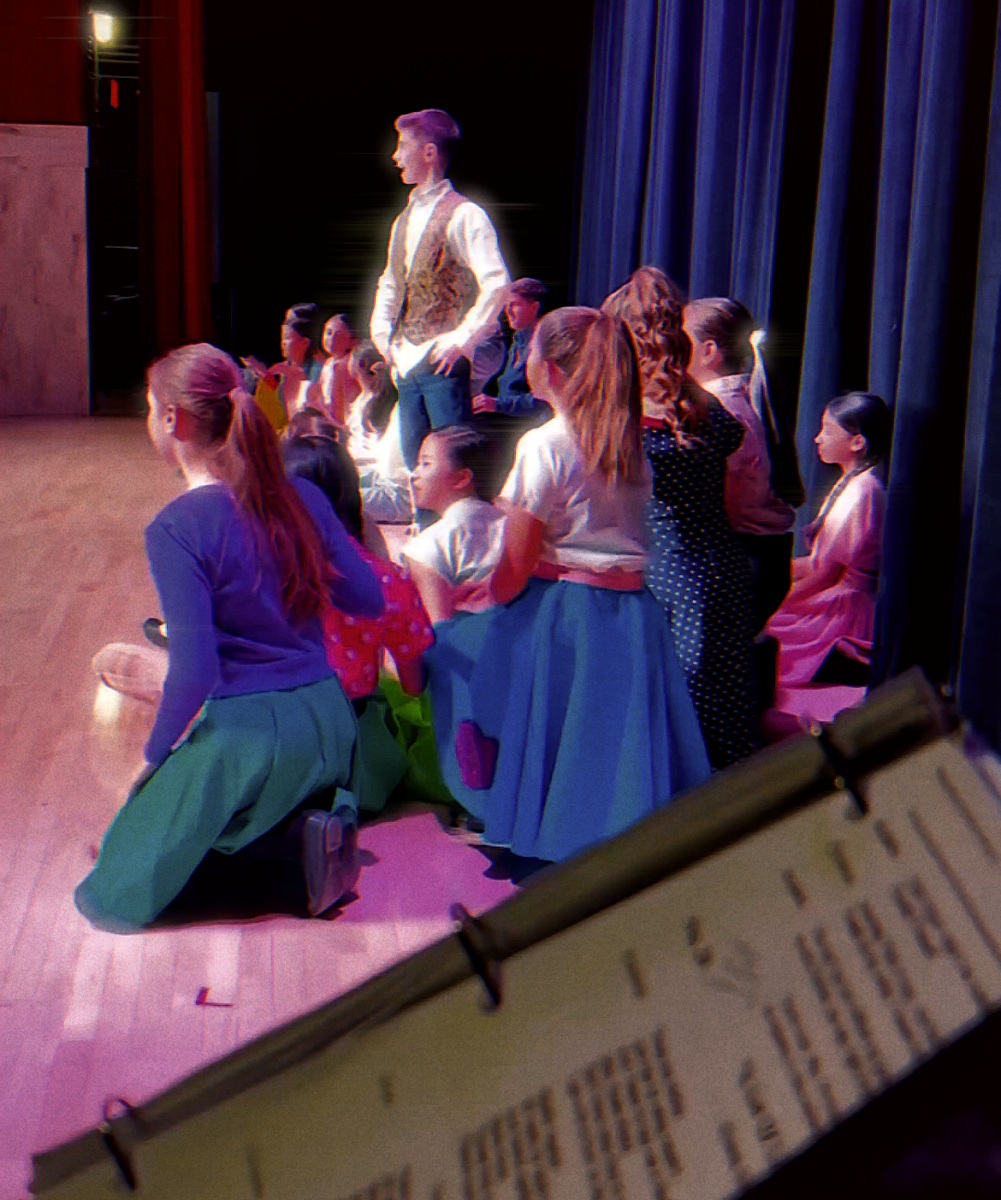 (Image courtesy of Sophia Macmillan, backstage of a Bye Bye Birdie rehearsal)